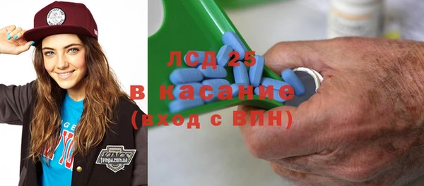 сатива Вязьма
