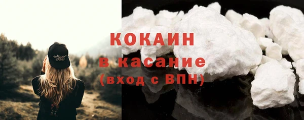сатива Вязьма