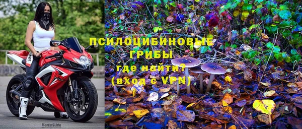 ALPHA PVP Вяземский