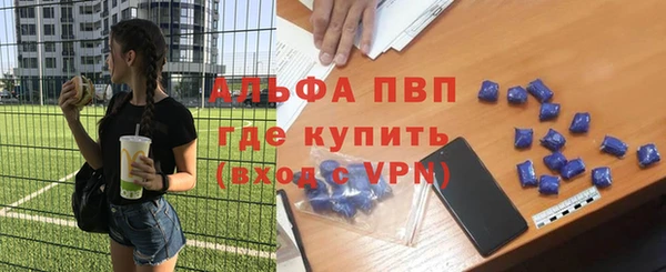 сатива Вязьма