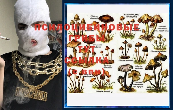 гашик Вязники