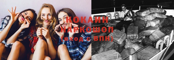 гашик Вязники