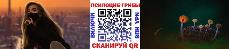 даркнет телеграм  Петровск-Забайкальский  Галлюциногенные грибы MAGIC MUSHROOMS 